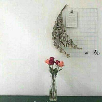 宇宙节奏大冒险中文版下载